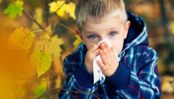 4 Ways to Find Relief From Your Seasonal Allergies